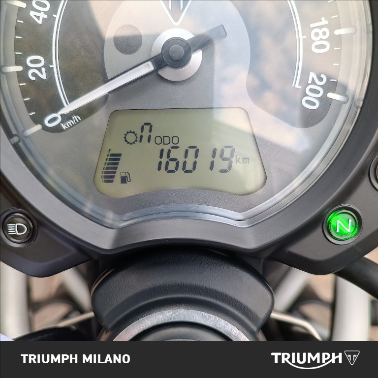 TRIUMPH Street Scrambler 900 
