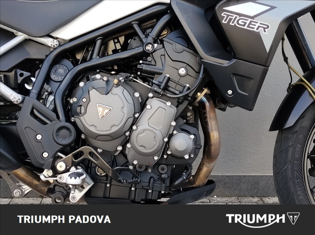 TRIUMPH Tiger 900 GT Abs