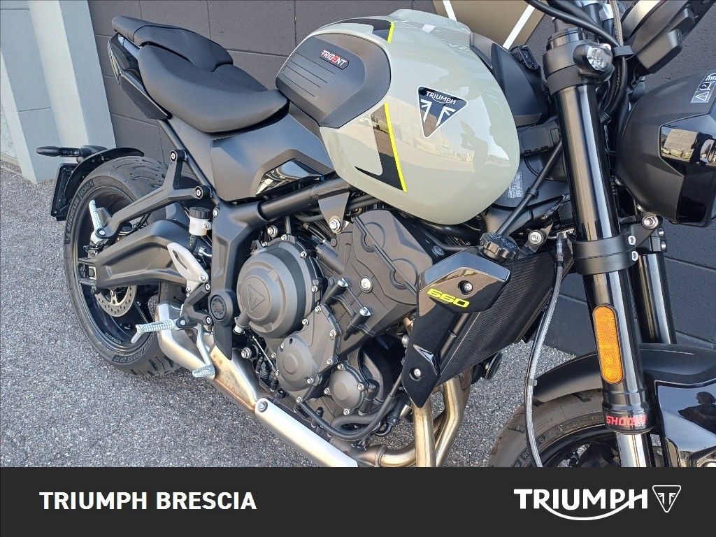 TRIUMPH Trident 660 Stone Grey Abs