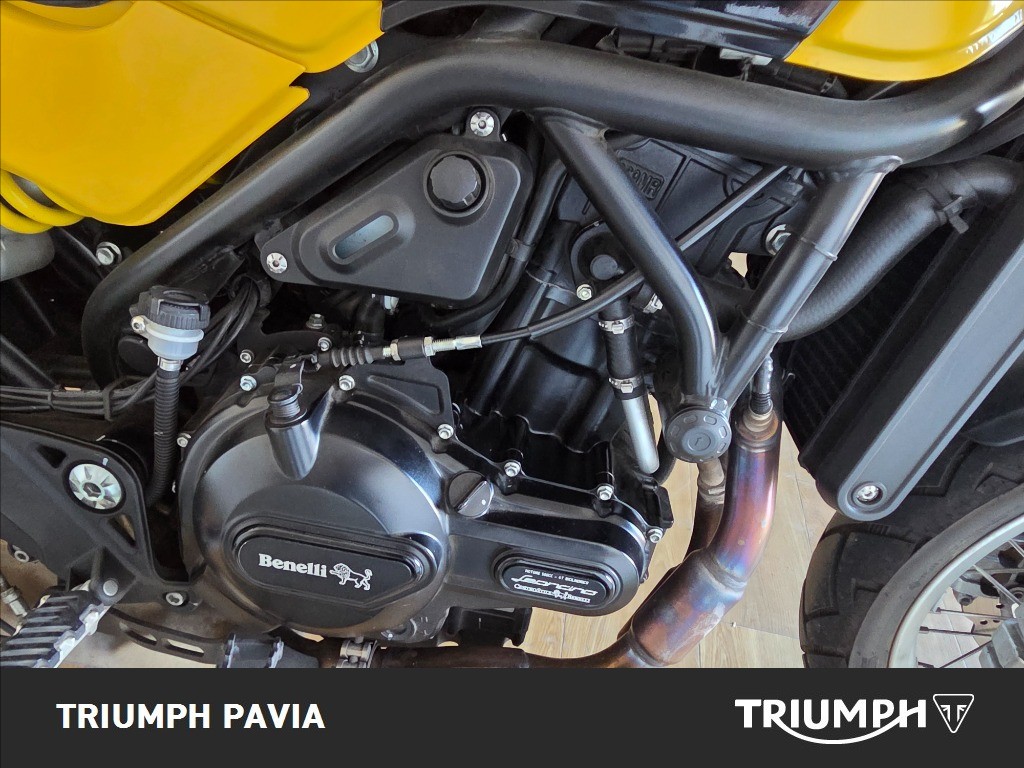 BENELLI Leoncino 500 Trail E5