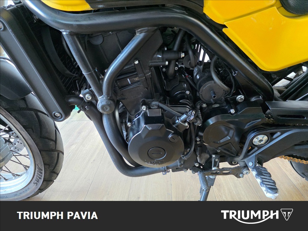 BENELLI Leoncino 500 Trail E5