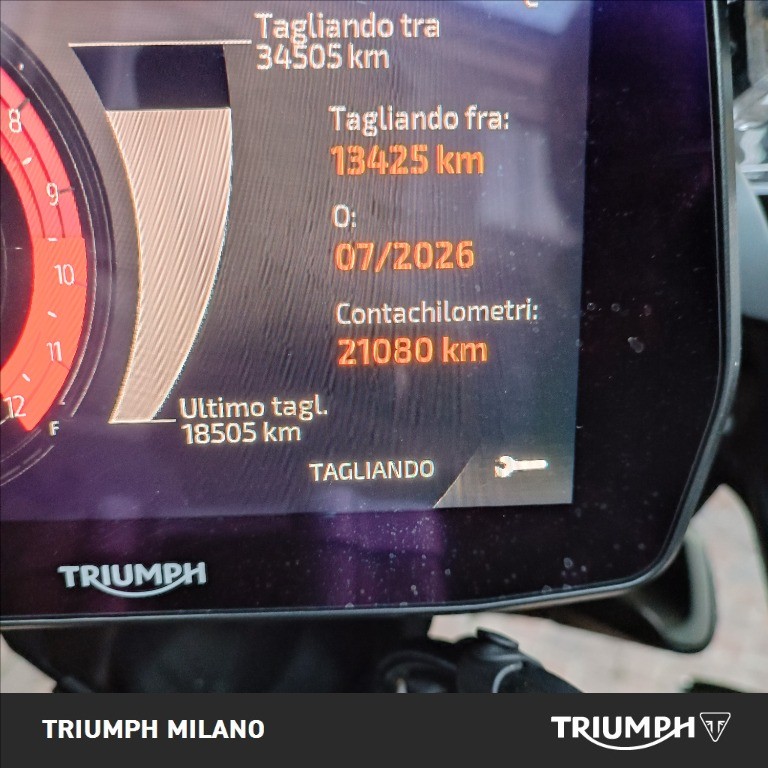 TRIUMPH Tiger 1200 Rally Pro Abs