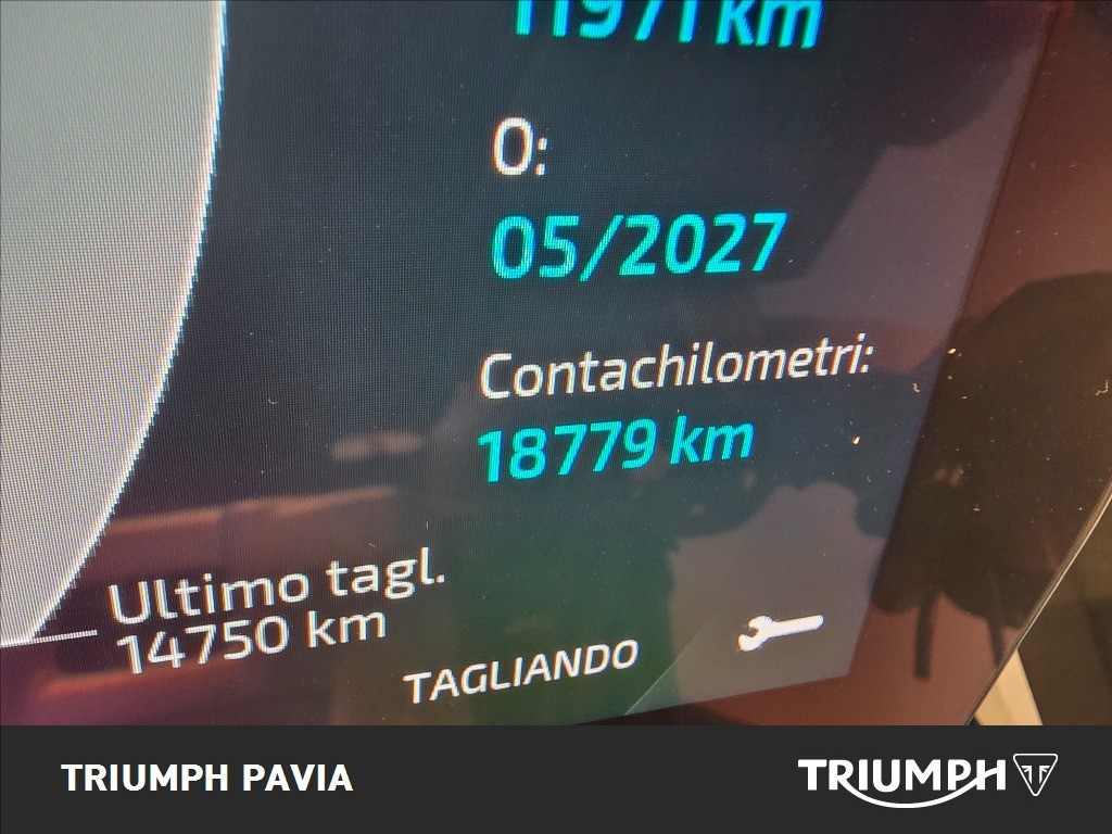 TRIUMPH Tiger 1200 GT Pro Abs