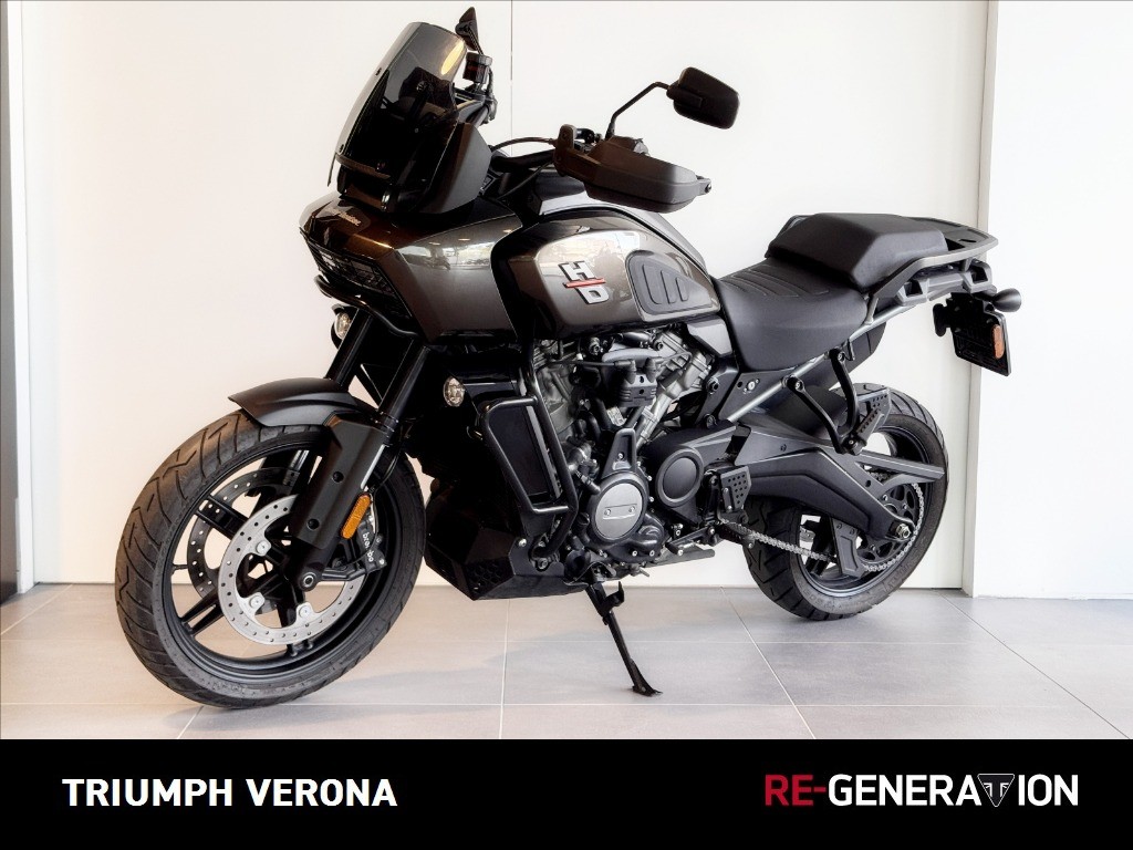 HARLEY-DAVIDSON Pan America 1250 Special Billiard Gray