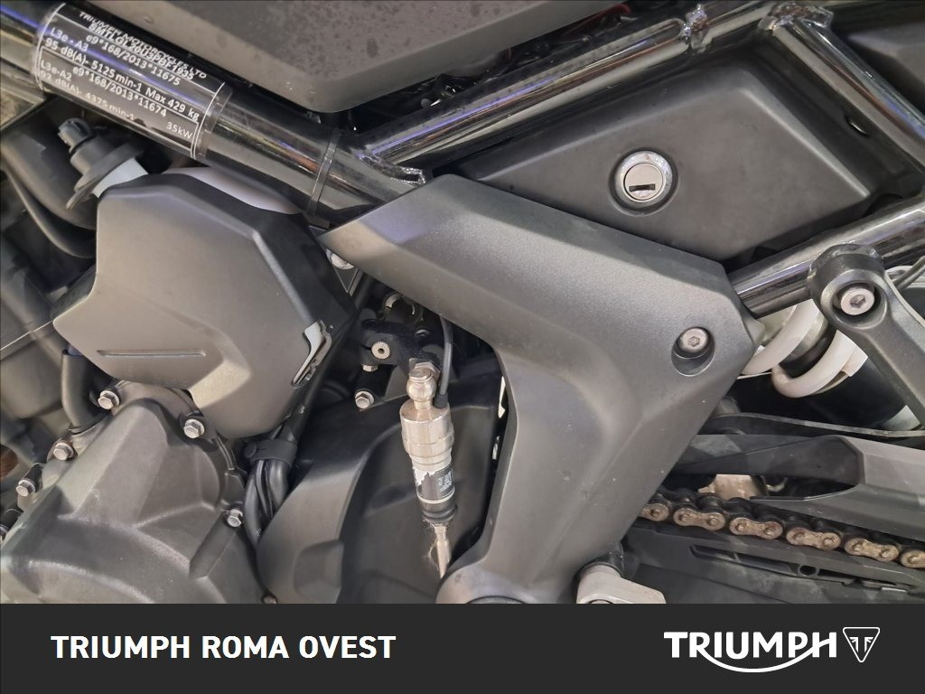 TRIUMPH Tiger Sport 660 Abs