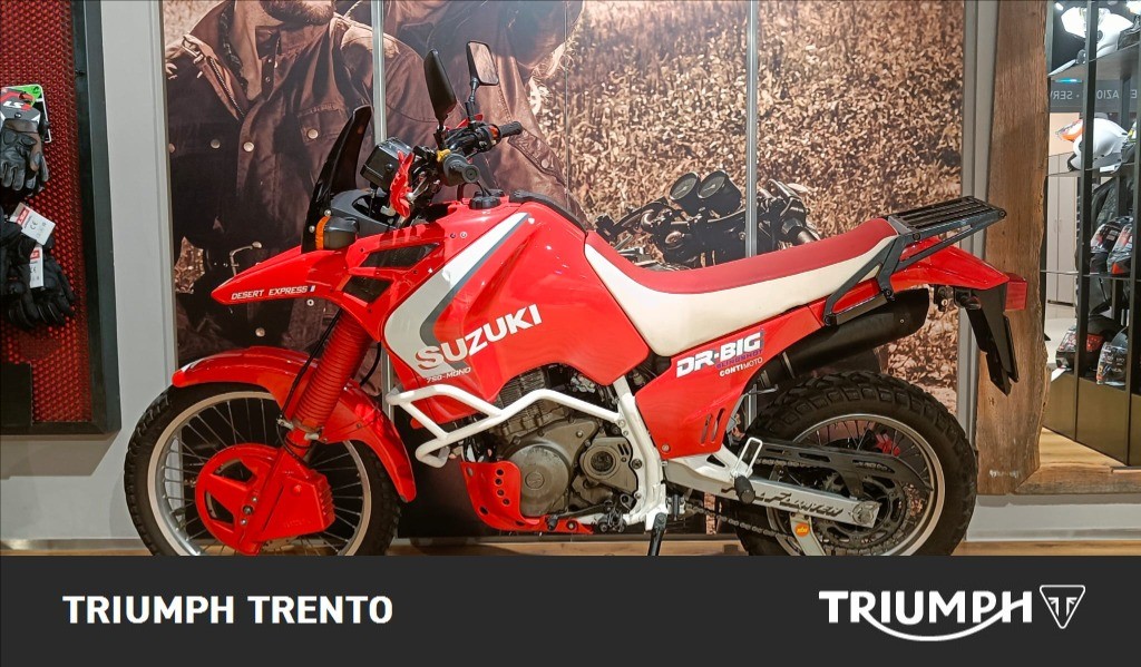 SUZUKI DR 800 S Big