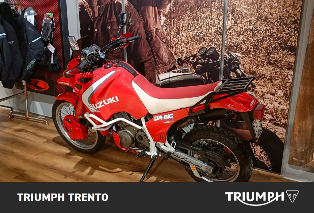 SUZUKI DR 800 S Big