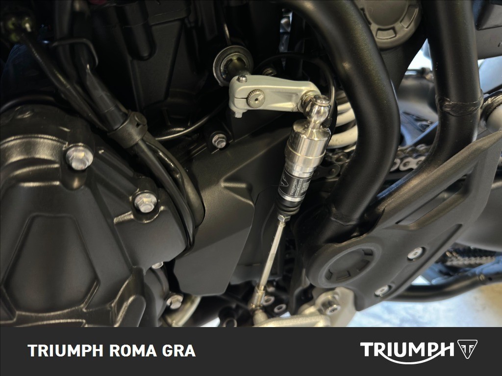 TRIUMPH Tiger 900 Rally Pro Abs