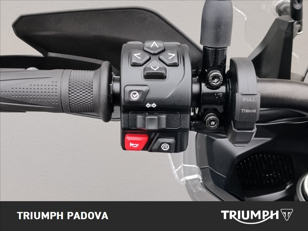 TRIUMPH Tiger Sport 800 Abs