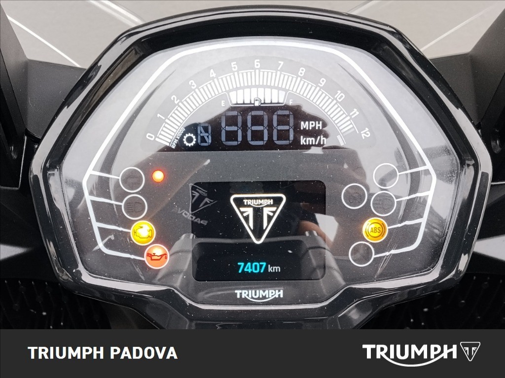 TRIUMPH Tiger Sport 800 Abs