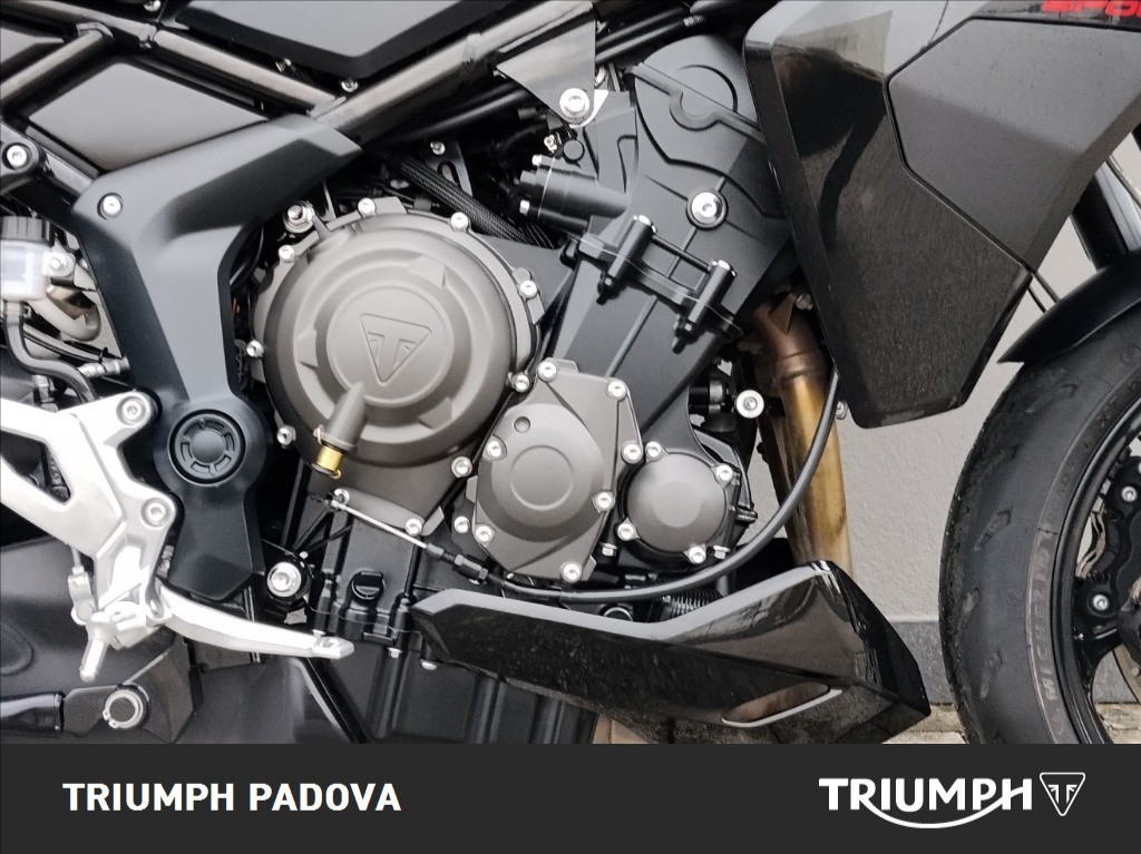 TRIUMPH Tiger Sport 800 Abs