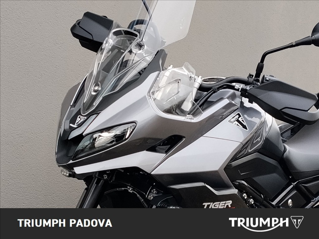 TRIUMPH Tiger Sport 800 Abs