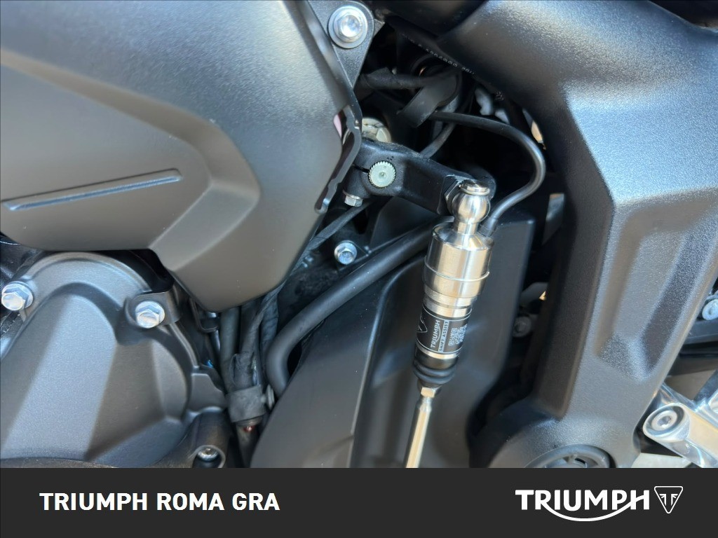 TRIUMPH Trident 660 Diablo Red / Sapphire Black Abs