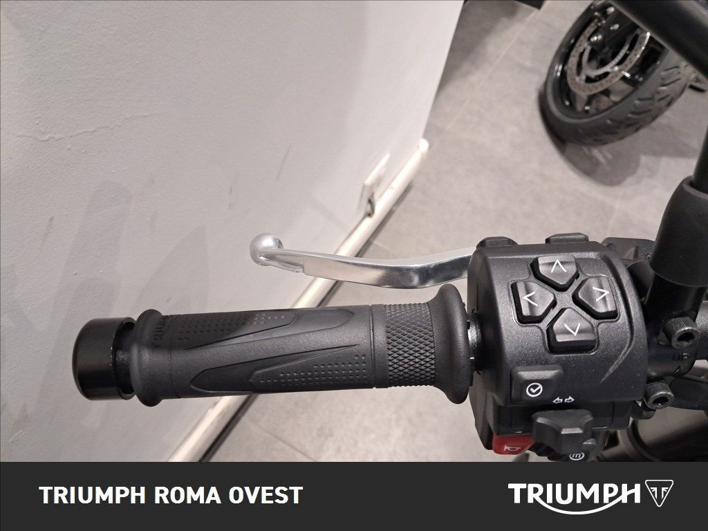 TRIUMPH Trident 660 Stone Grey Abs