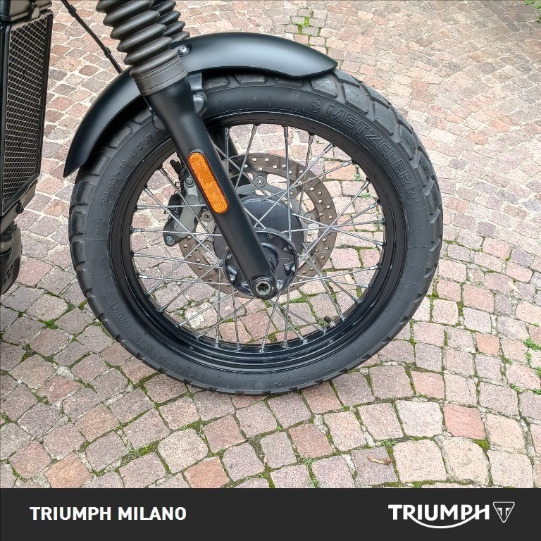 TRIUMPH Street Scrambler 900 Gold Line