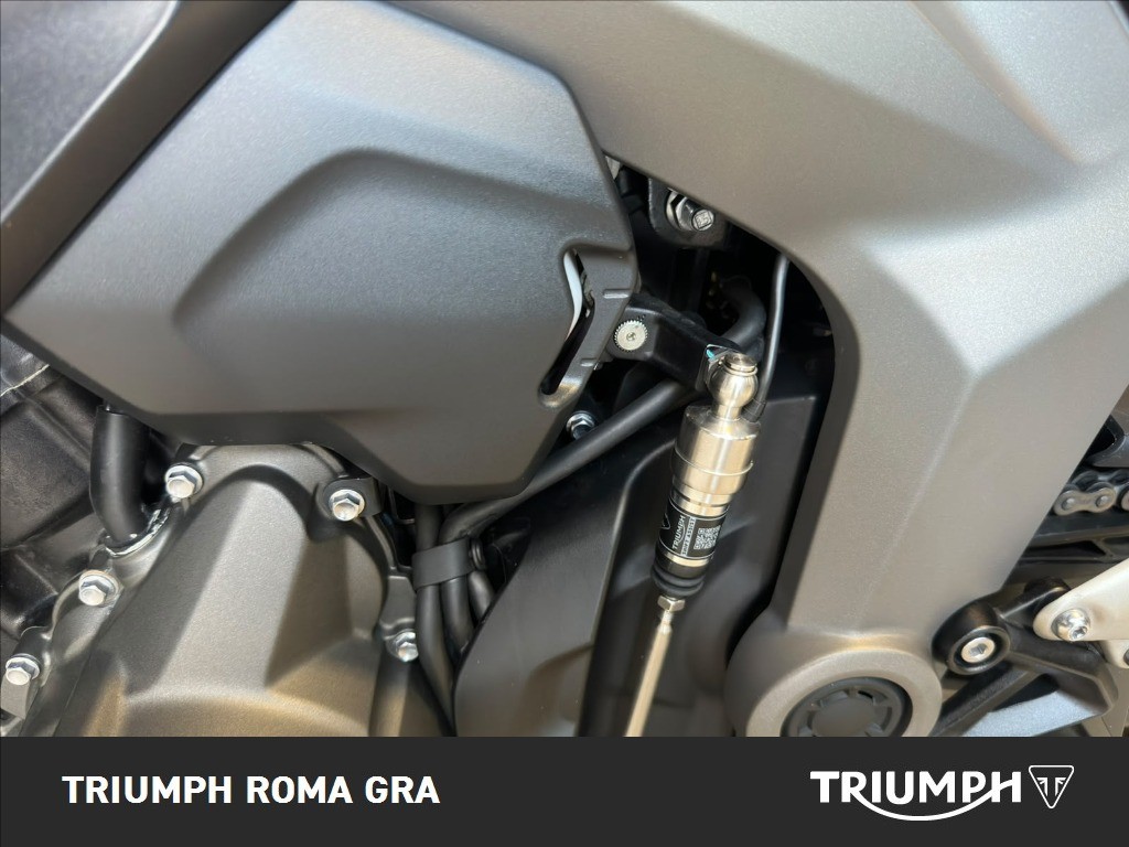 TRIUMPH Daytona 660 Abs