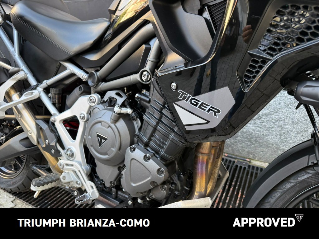 TRIUMPH Tiger 1200 GT Pro Abs