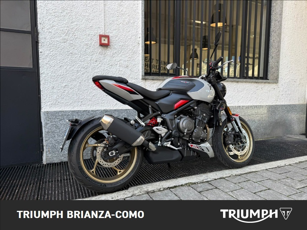 TRIUMPH Trident 800 Ash Grey Abs