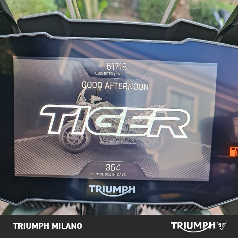 TRIUMPH Tiger 900 Rally Abs
