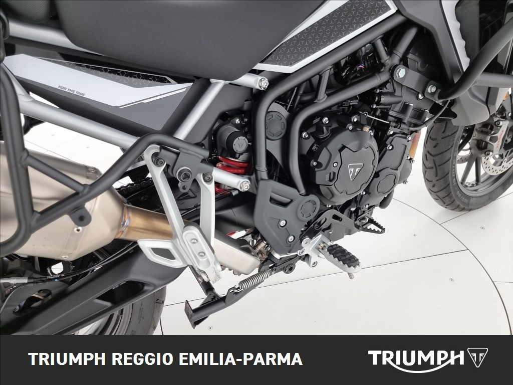 TRIUMPH Tiger 900 GT Pro Abs